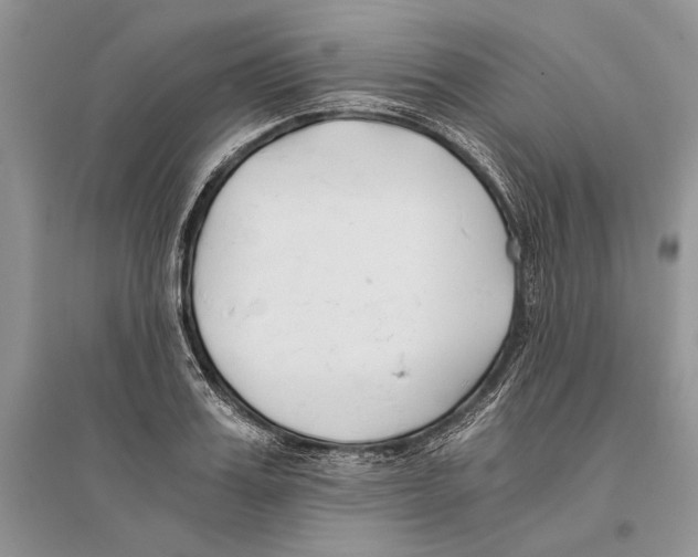 X0000096200987200802151521