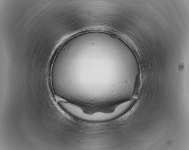 X0000096200989200802151521