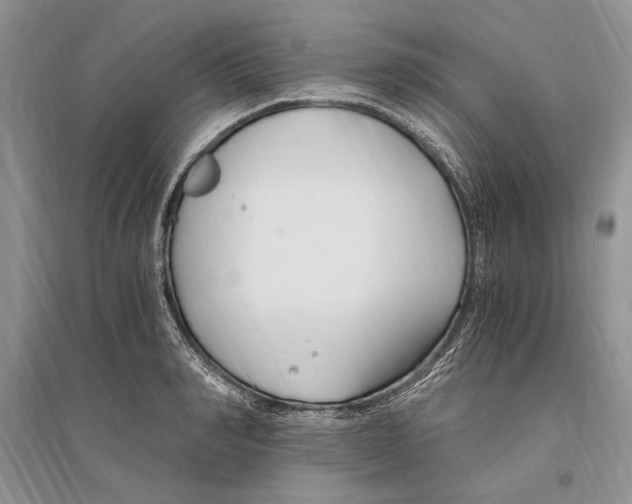 X0000096200990200802151521