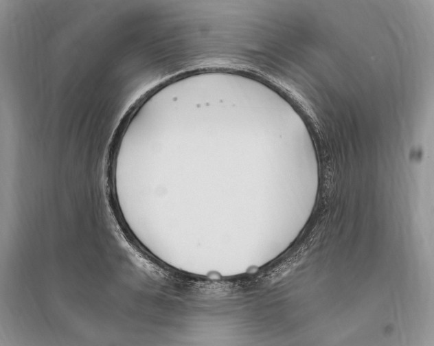 X0000096200991200802151521