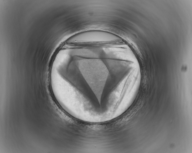 X0000096200992200802151521