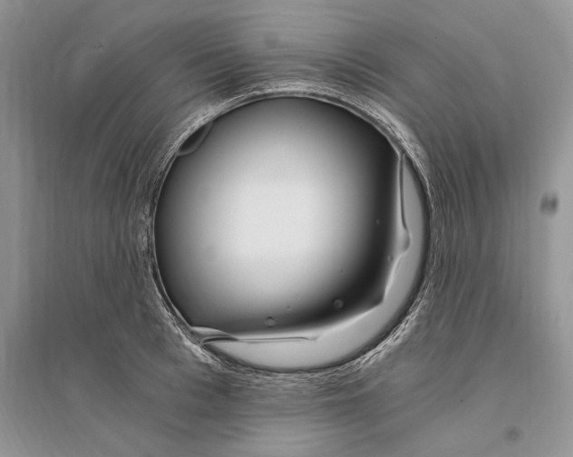 X0000096200993200802151521