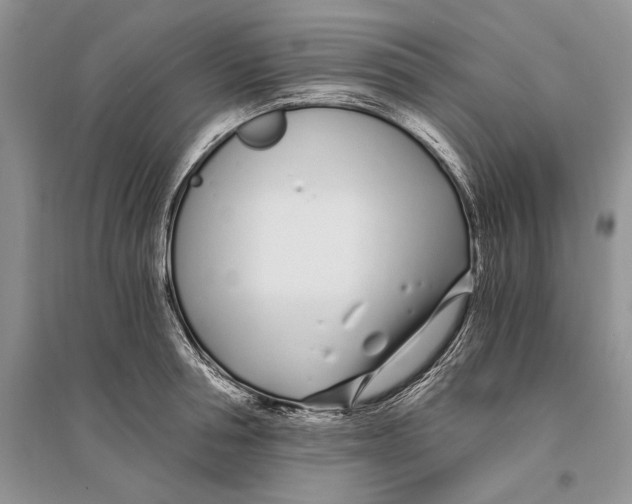 X0000096200994200802151521