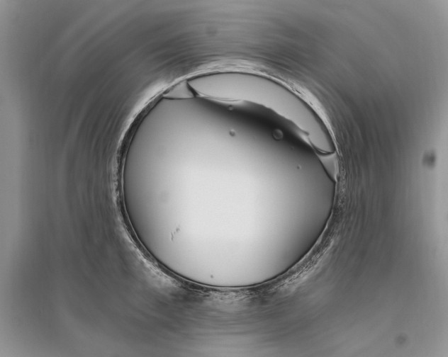 X0000096200997200802151521