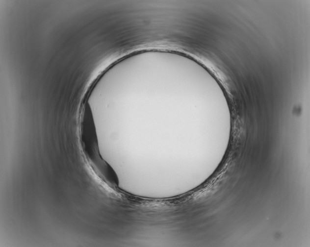 X0000096200998200802151521