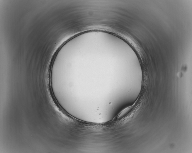 X0000096200999200802151521