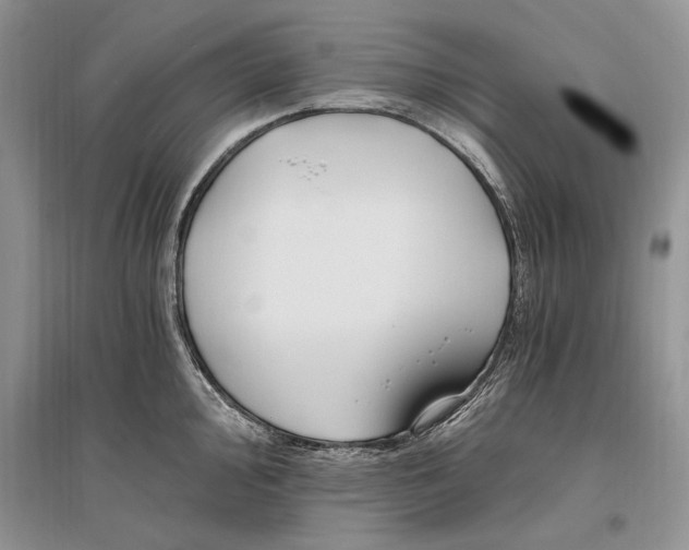 X0000096201000200802151521