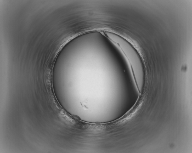 X0000096201001200802151521