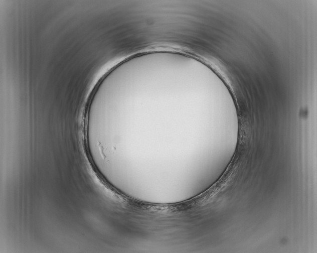 X0000096201003200802151521