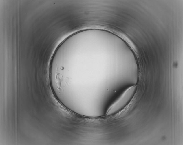 X0000096201004200802151521