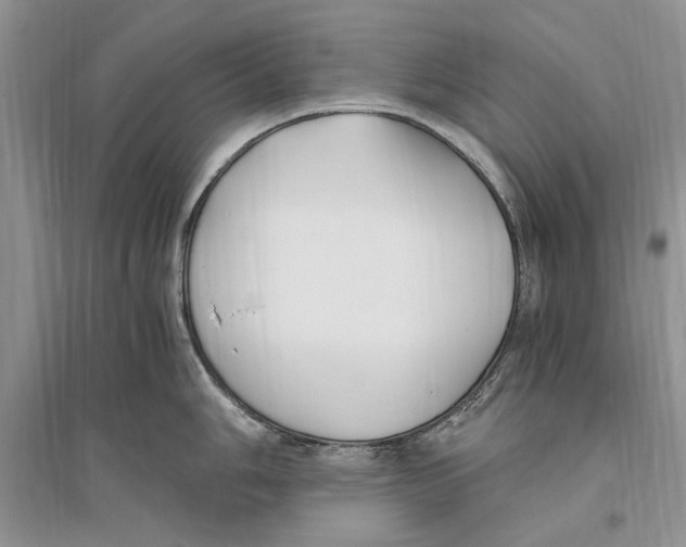 X0000096201006200802151521