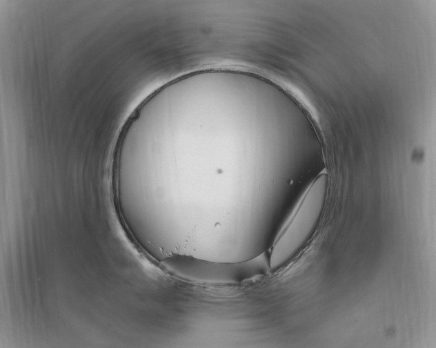 X0000096201007200802151521