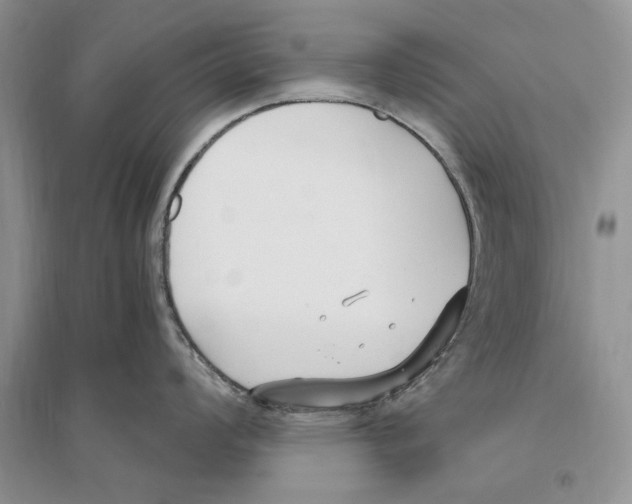 X0000096201008200802151521