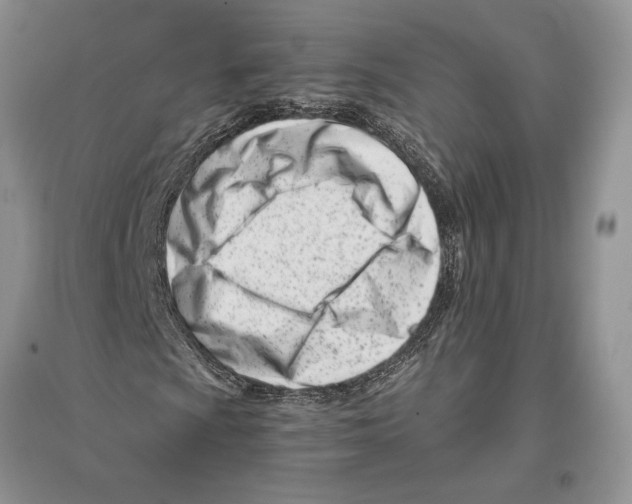 X0000096201009200802151520