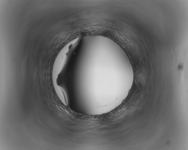 X0000096201010200802151520