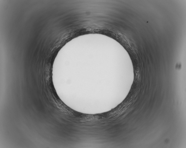 X0000096201012200802151520