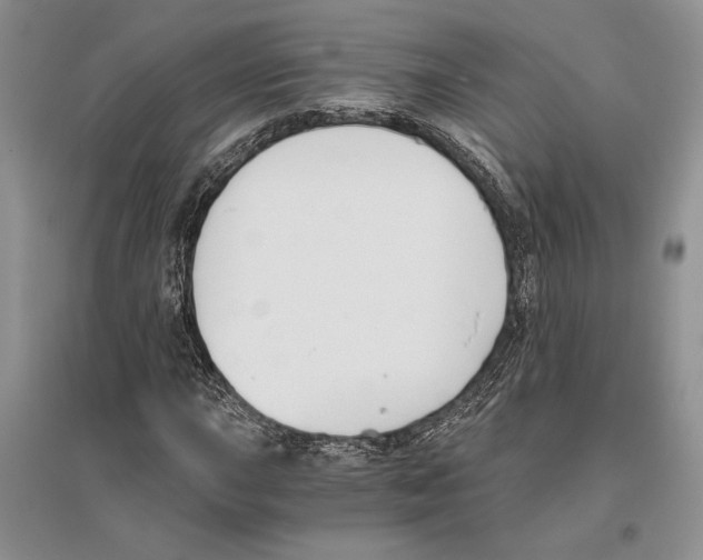 X0000096201015200802151520