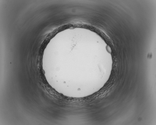 X0000096201016200802151521