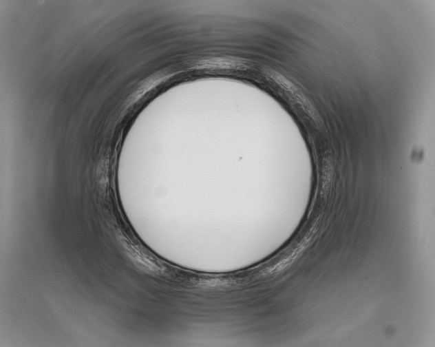 X0000096201017200802151521