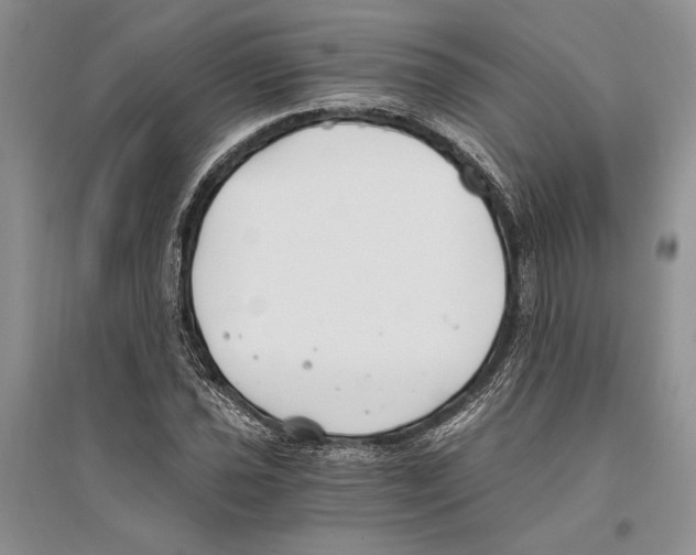 X0000096201021200802151521