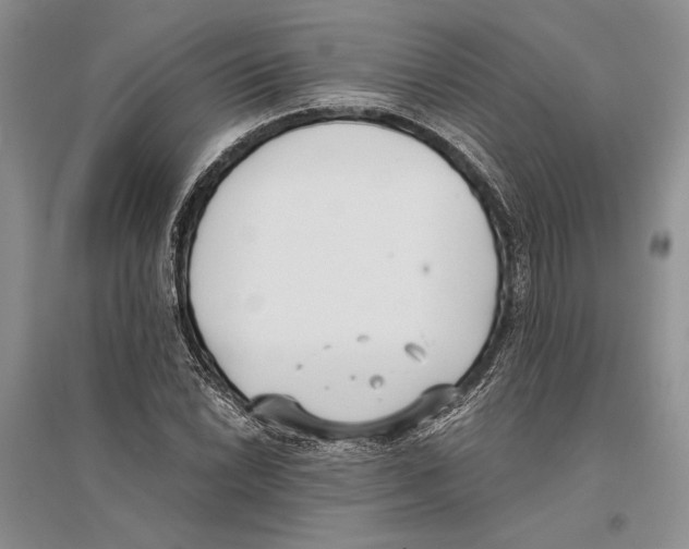 X0000096201022200802151521