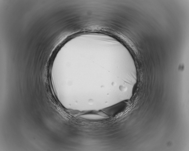 X0000096201023200802151521