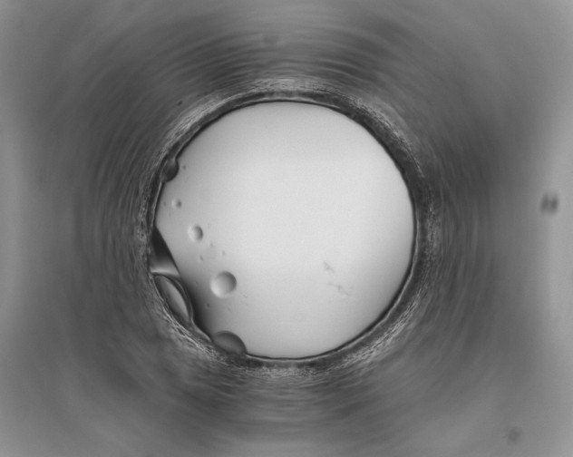 X0000096201025200802151521