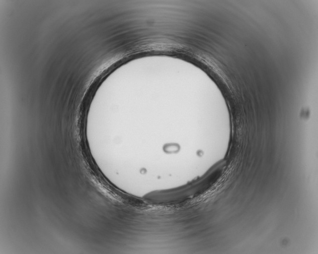 X0000096201026200802151521