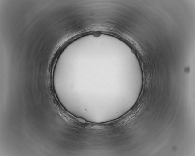 X0000096201027200802151521