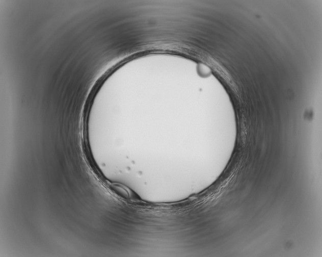 X0000096201028200802151521