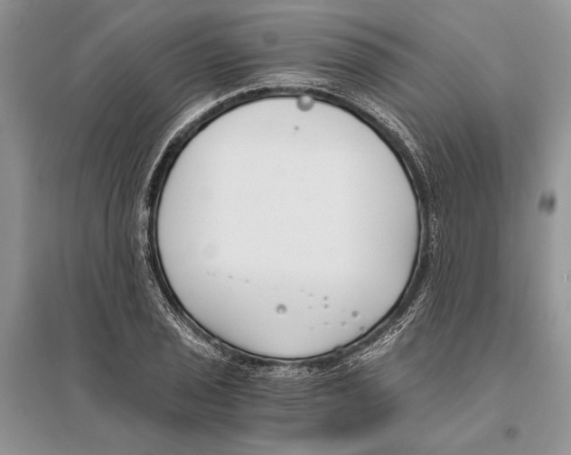 X0000096201029200802151521