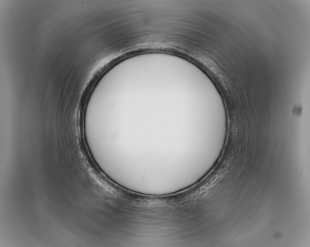 X0000096201030200802151521