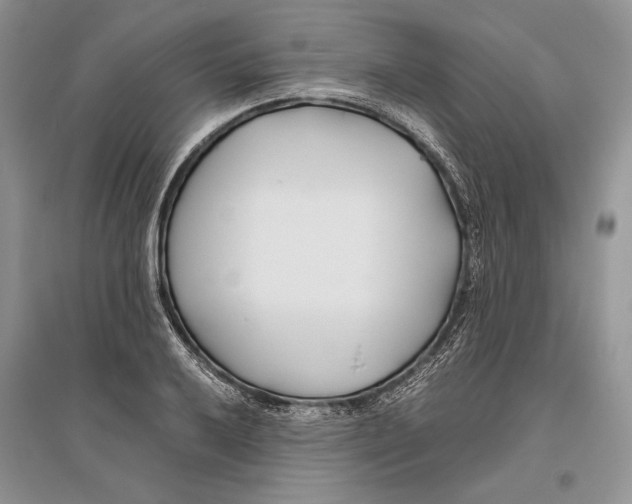 X0000096201032200802151521