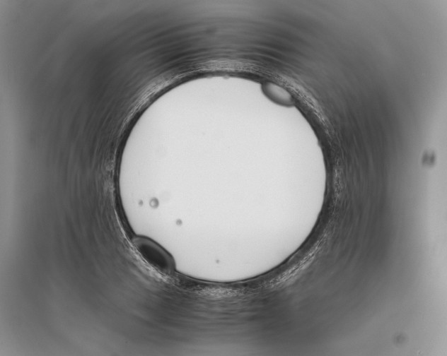 X0000096201033200802151521