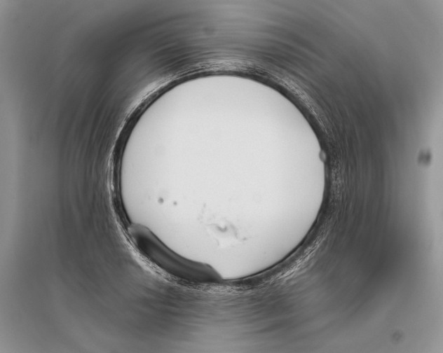 X0000096201034200802151521