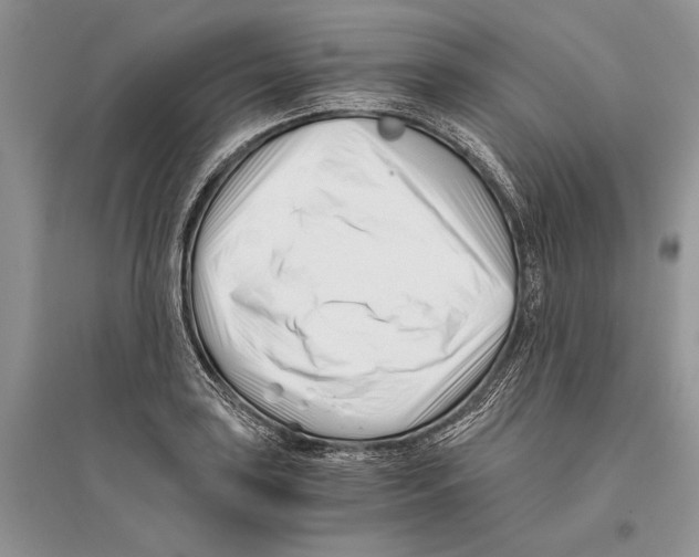 X0000096201035200802151521