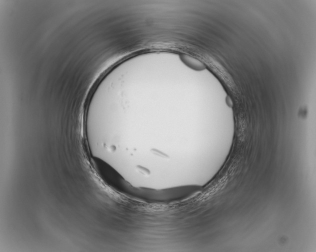 X0000096201036200802151521