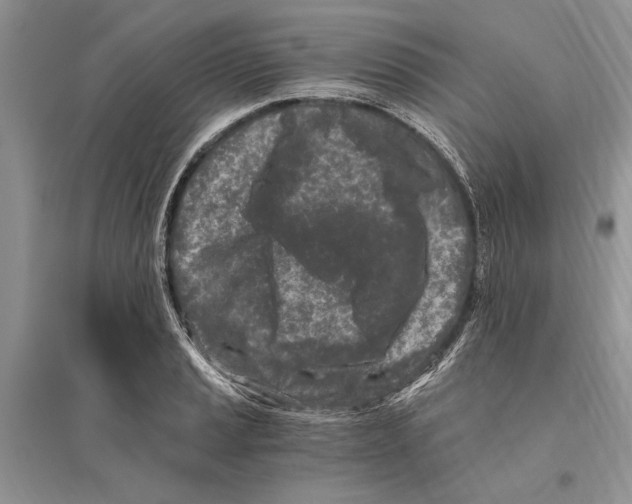 X0000096201037200802151521