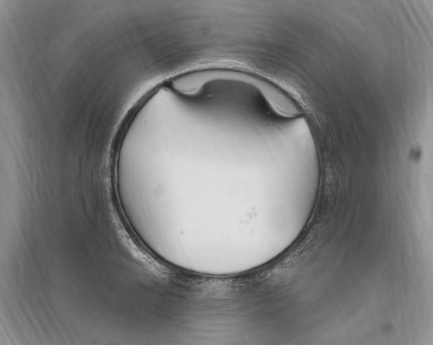 X0000096201038200802151521