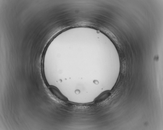 X0000096201039200802151521