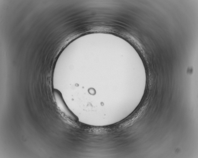 X0000096201041200802151521