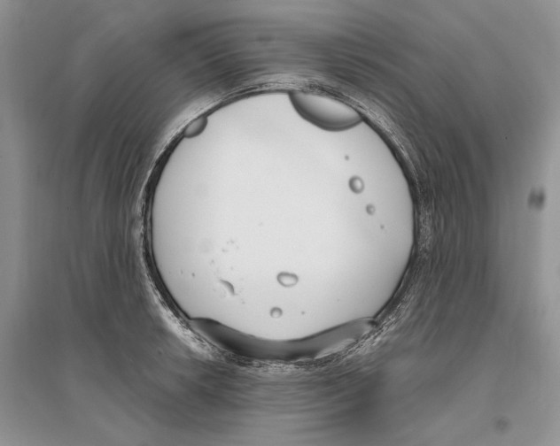 X0000096201042200802151521