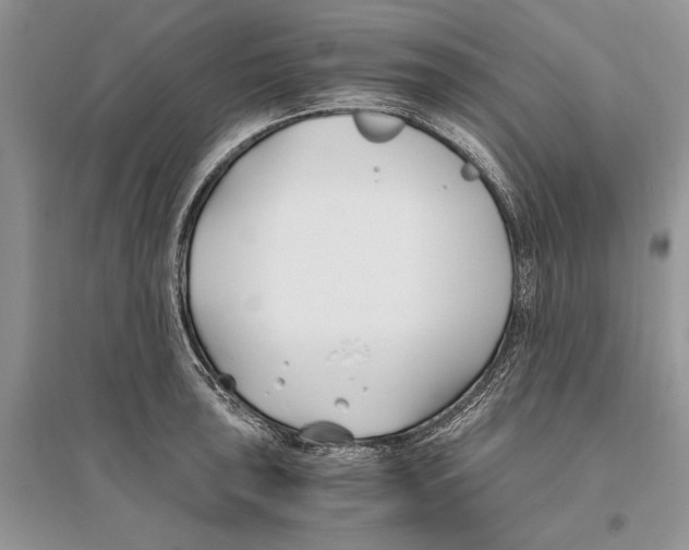 X0000096201043200802151521