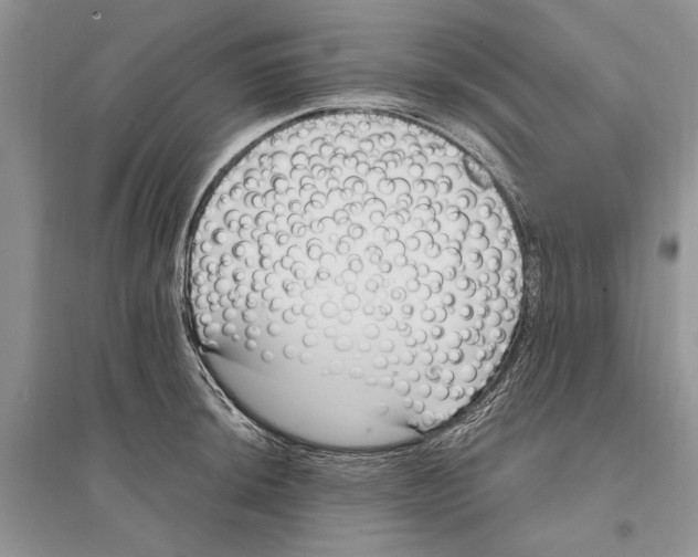 X0000096201044200802151521