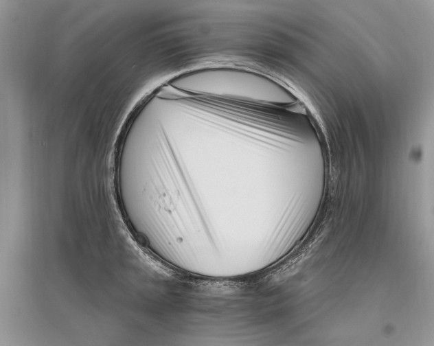 X0000096201045200802151521