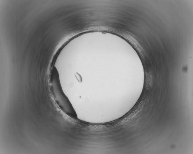 X0000096201046200802151521