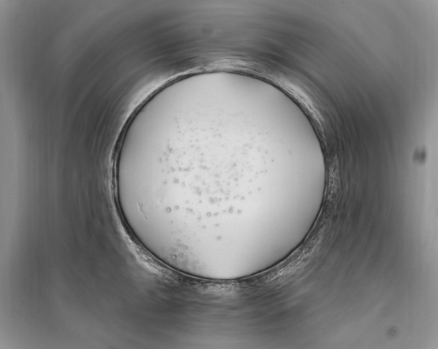 X0000096201047200802151521