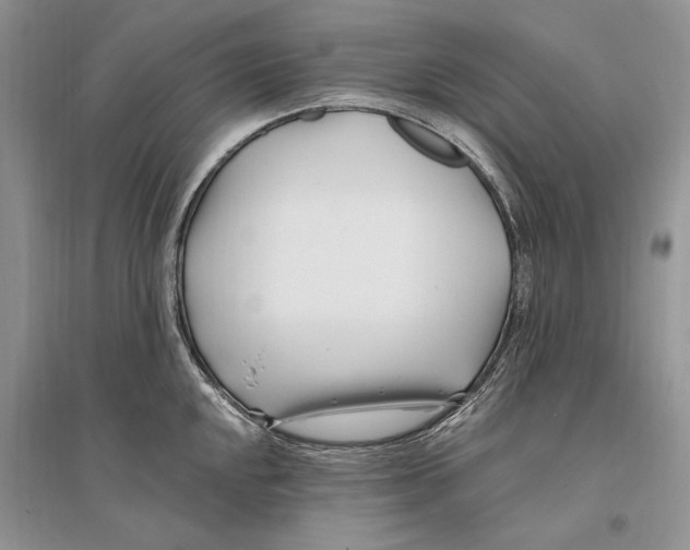 X0000096201048200802151521