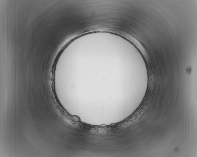 X0000096201051200802151521