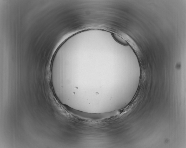 X0000096201052200802151521